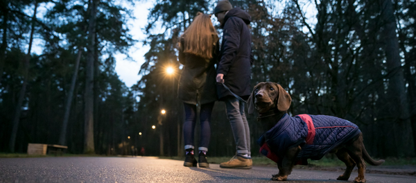 Парк Вингиса Парк Вингиса - Sputnik Lietuva