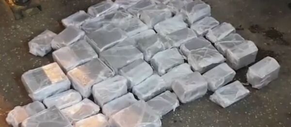 Lietuvoje sulaikyta 1 mln eurų vertės hašišo partija - Sputnik Lietuva