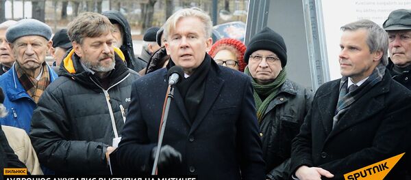 Митинг в поддержку строительства монумента Витис - Sputnik Литва