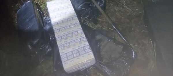 Пограничники выловили два плота с контрабандными сигаретами - Sputnik Литва