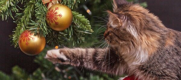 Новогодняя елка Новогодняя елка - Sputnik Lietuva