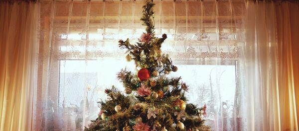 Наряженная елка - Sputnik Lietuva