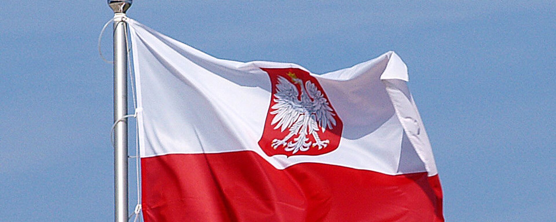 Lenkijos vėliava - Sputnik Lietuva, 1920, 20.06.2021