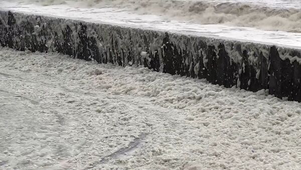 Похожая на снег морская пена накрыла побережье в Англии - Sputnik Литва
