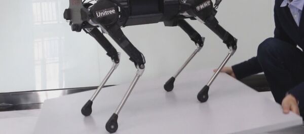 Китайские разработчики создали робособаку Laikago - Sputnik Литва