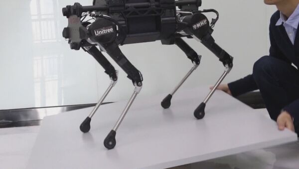 Китайские разработчики создали робособаку Laikago - Sputnik Литва
