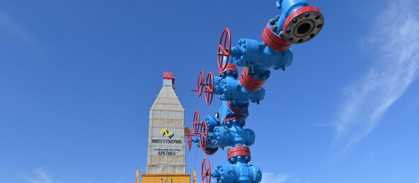 Строительство завода по сжижению природного газа на Ямале - Sputnik Литва