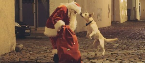 Klaipėdos kalėdinio himno premjera Klaipėdos kalėdinio himno premjera - Sputnik Lietuva