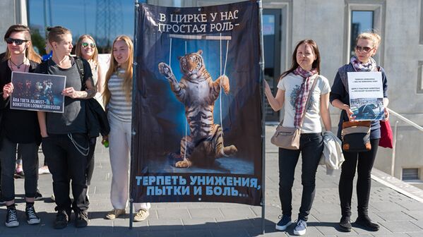 Сильно сказано: дрессировка — унижение, пытки и боль - Sputnik Литва