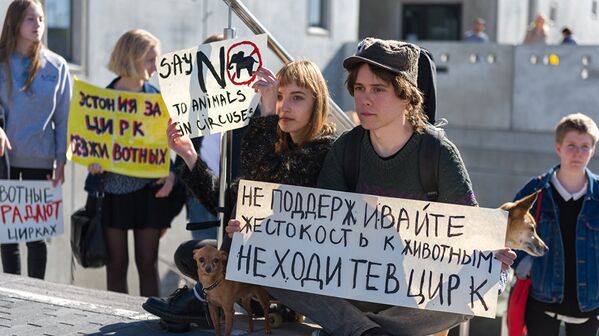 Призывы не ходить в цирк на представления с животными - Sputnik Литва