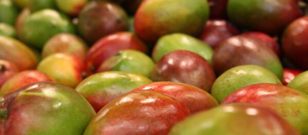 Манго Манго - Sputnik Lietuva