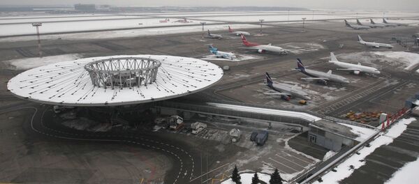Аэропорт Шереметьево, архивное фото - Sputnik Литва