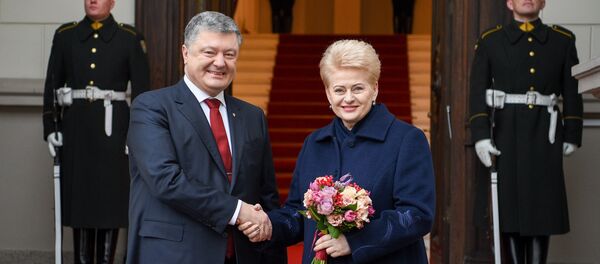 Грибаускайте встретилась с Порошенко, архивное фото - Sputnik Литва