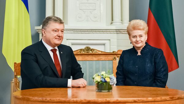 Встреча президентов Украины Петра Порошенко и Литвы Дали Грибаускайте - Sputnik Lietuva