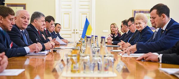 Встреча президентов Украины Петра Порошенко и Литвы Дали Грибаускайте - Sputnik Литва