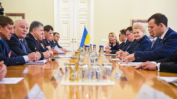 Встреча президентов Украины Петра Порошенко и Литвы Дали Грибаускайте - Sputnik Литва