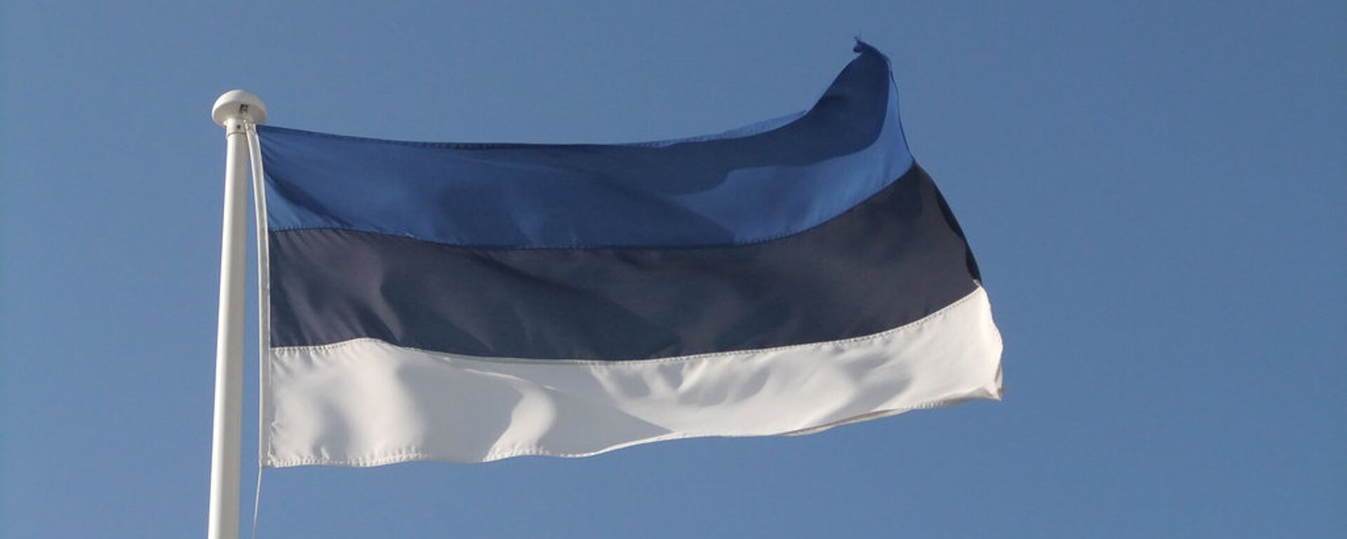 Флаг Эстонии - Sputnik Lietuva, 1920, 03.08.2021