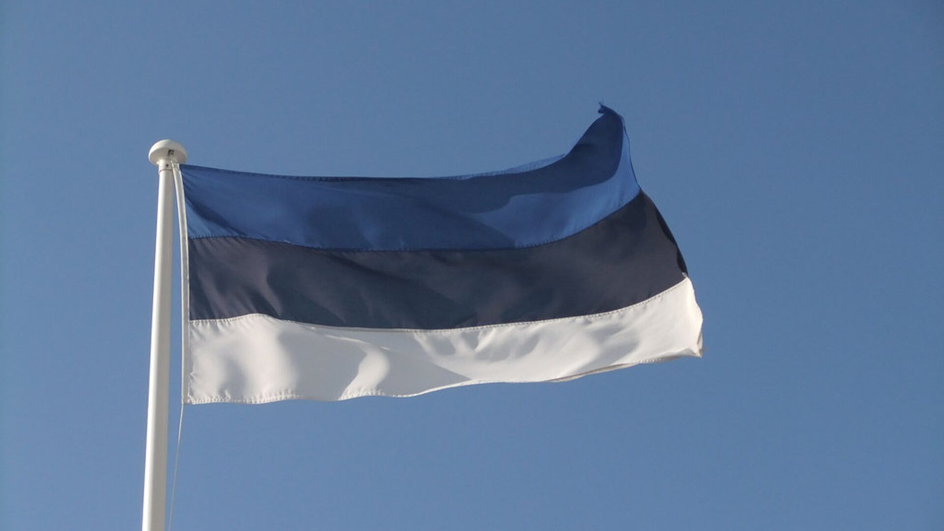 Флаг Эстонии - Sputnik Lietuva, 1920, 03.08.2021