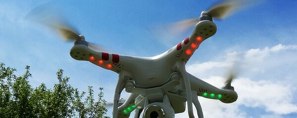 Беспилотник, дрон Беспилотник, дрон - Sputnik Литва