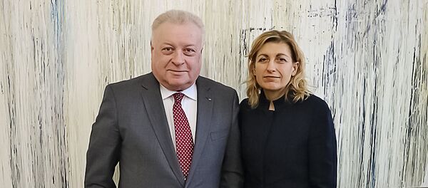 Kultūros ministrė susitiko su Rusijos ambasadoriumi Kultūros ministrė susitiko su Rusijos ambasadoriumi - Sputnik Lietuva