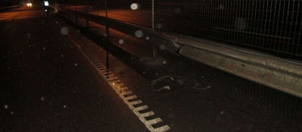 Apgadinti kelio atitvarai Apgadinti kelio atitvarai - Sputnik Lietuva