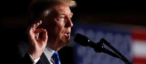 Президент Америки Дональд Трамп - Sputnik Литва