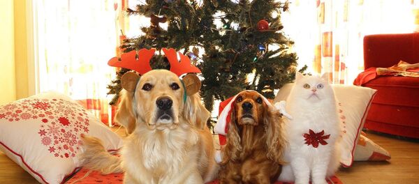 Рождество - Sputnik Lietuva