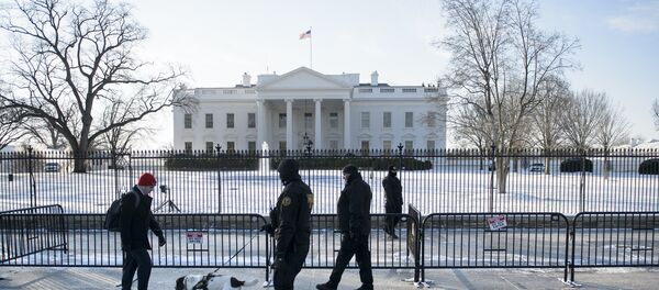 Белый Дом зимой - Sputnik Литва