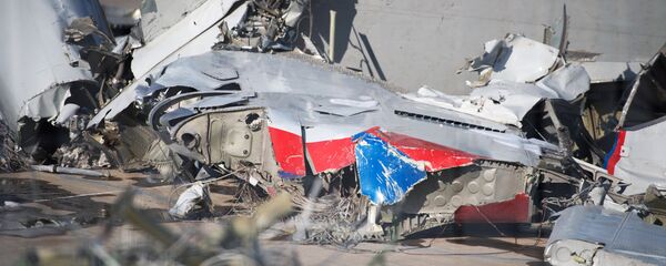 Обломки упавшего самолета Минобороны РФ Ту-154, собранные у берегов Сочи Обломки упавшего самолета Минобороны РФ Ту-154, собранные у берегов Сочи - Sputnik Lietuva
