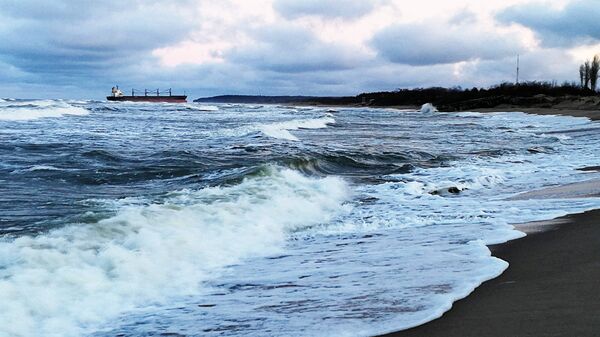 Сухогруз Ocean Crown, севший на мель Сухогруз Ocean Crown, севший на мель - Sputnik Литва