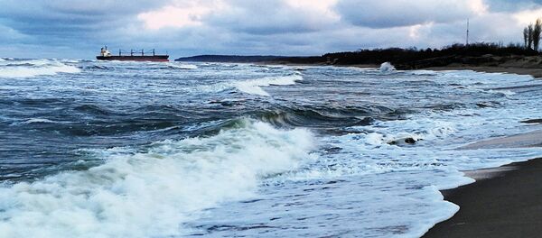 Севший на мель сухогруз Ocean Crown Севший на мель сухогруз Ocean Crown - Sputnik Литва