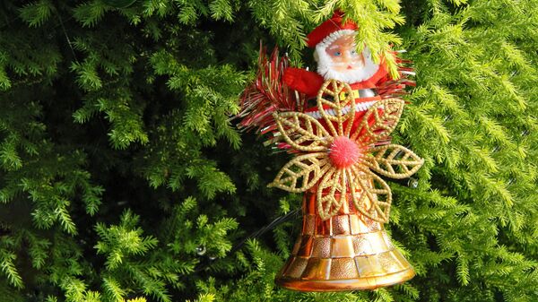 Рождество колокольчик елка, архивное фото - Sputnik Литва