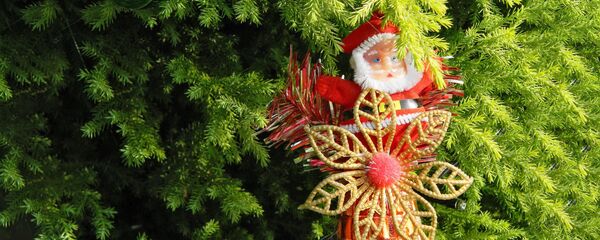 Рождество колокольчик елка, архивное фото Рождество колокольчик елка, архивное фото - Sputnik Литва