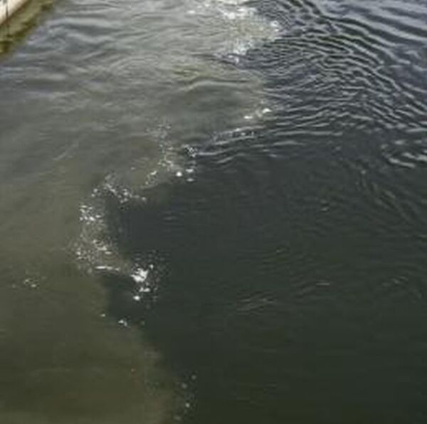 Отходы в водах Немана - Sputnik Литва