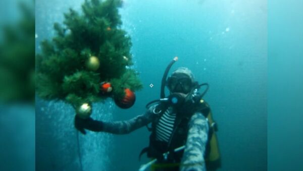 Дайверы погрузили новогоднюю елку под воду Голубого озера - Sputnik Lietuva