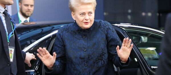 Президент Литвы Даля Грибаускайте, архивное фото - Sputnik Литва