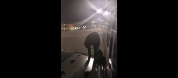 Нетерпеливый поляк выскочил на крыло самолета через аварийный выход - Sputnik Литва