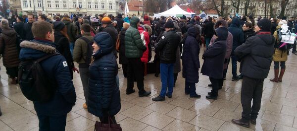 Митинг в Вильнюсе Поход последних врачей в аэропорт - Sputnik Литва