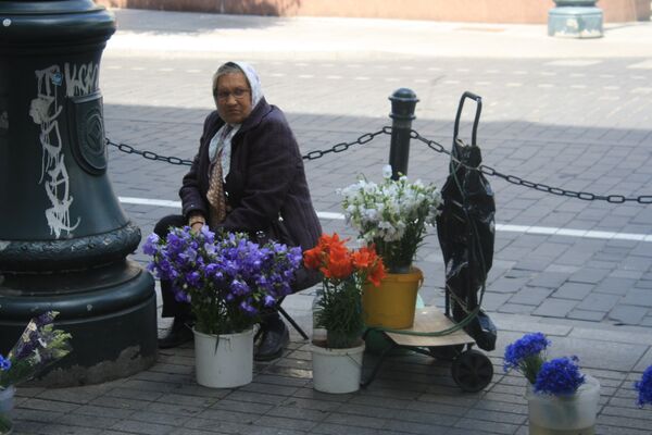 Пенсионерка торгует цветами на пр.Гядиминаса (Вильнюс) - Sputnik Lietuva
