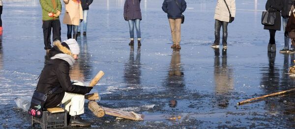 Stintapūkis Nidoje Stintapūkis Nidoje - Sputnik Lietuva