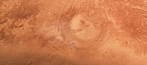 Планета Марс в полный рост Планета Марс в полный рост - Sputnik Lietuva