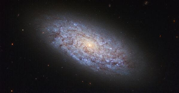 Галактика NGC 5949 в созвездии Дракона, нарушающая законы распределения темной материи - Sputnik Литва