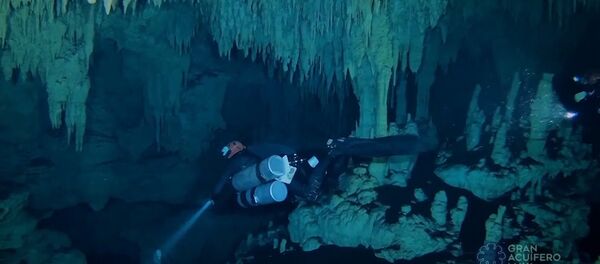 Самую большую на планете подводную пещеру нашли в Мексике Самую большую на планете подводную пещеру нашли в Мексике - Sputnik Литва