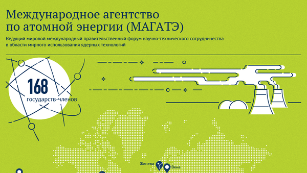 Международное агентство по атомной энергии (МАГАТЭ) - Sputnik Литва