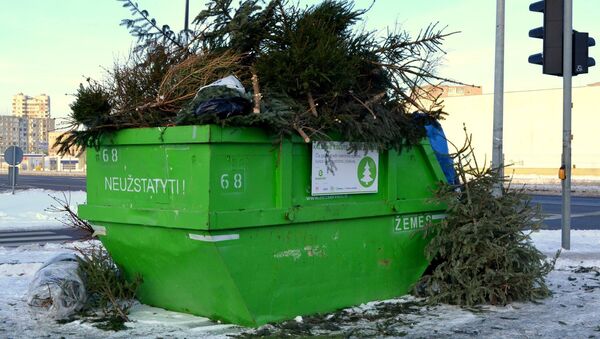 Новогодние елки сдают в переработку - Sputnik Lietuva