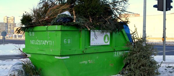 Новогодние елки сдают в переработку Новогодние елки сдают в переработку - Sputnik Lietuva