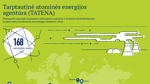 Tarptautinė atominės energijos agentūra (TATENA) - Sputnik Lietuva