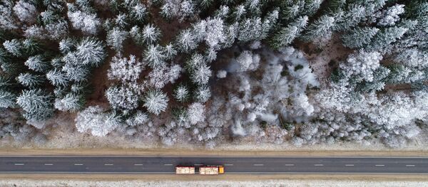 Miškas - Sputnik Lietuva