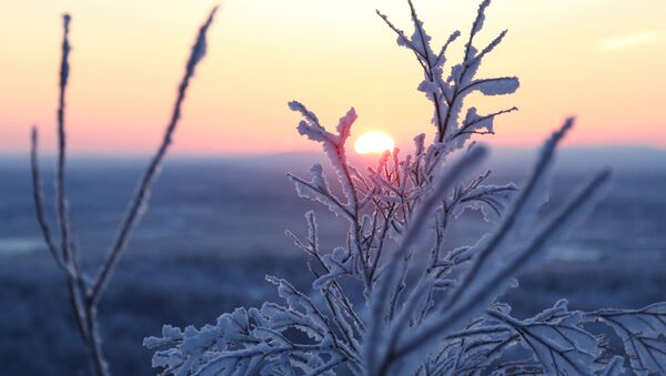 Зимний рассвет, архивное фото - Sputnik Литва