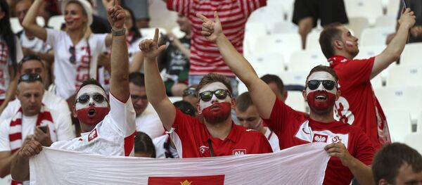 Футбол. Чемпионат Европы - 2016. Матч Польша - Португалия Футбол. Чемпионат Европы - 2016. Матч Польша - Португалия - Sputnik Литва